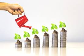 مدیریت سرمایه